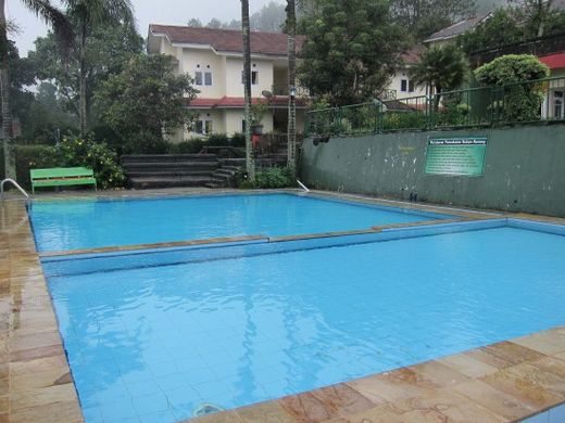 Alfa Resort-Swimming Pool
