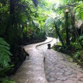 Path to bales @ Kampung Daun
