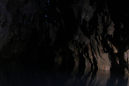 Glow worms at Waitomo Caves Glow worms at Waitomo Caves