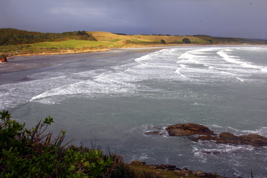 Tauranga Bay where there are heaps of seals Tauranga Bay where there are heaps of seals