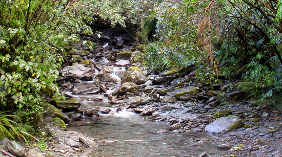 Just another drop dead gorgeous stream Just another drop dead gorgeous stream
