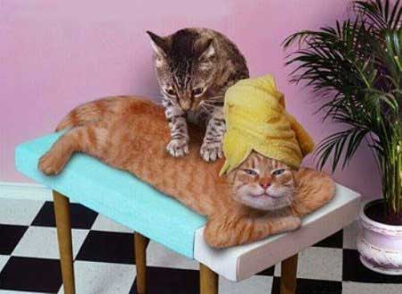 Massage Massage