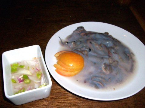 Tamilok in the Phillipines - weird? Tamilok in the Phillipines - weird?