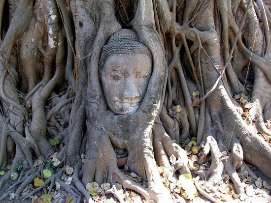 Wat Phra Mahathat - Ayutthaya Wat Phra Mahathat - Ayutthaya