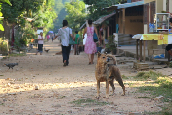 Jalan di desa kecil - Muang Ngoi Jalan di desa kecil - Muang Ngoi