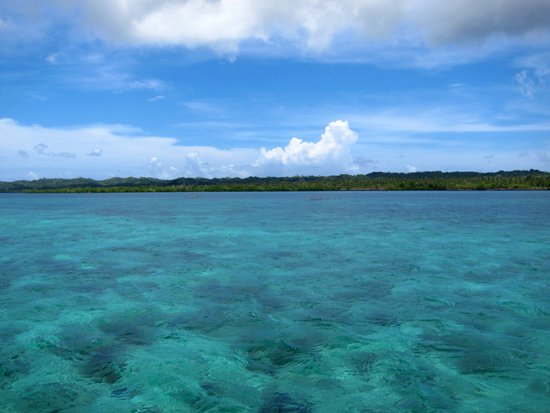 Laut di Wakatobi