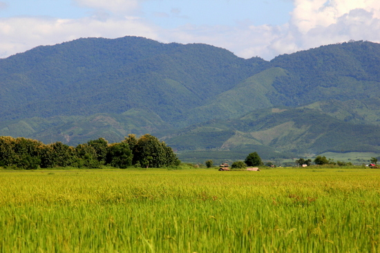Pemandangan di Laos mirip dengan pemandangan di Indonesia Pemandangan di Laos mirip dengan pemandangan di Indonesia