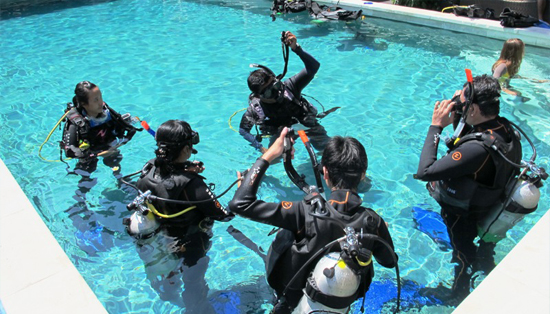 Open Water Diver Course