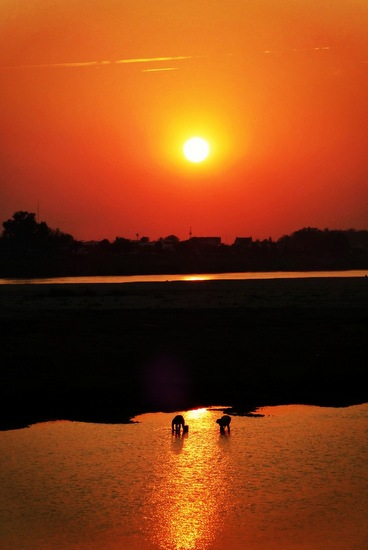 Sunset di Vientiane - golden sunset