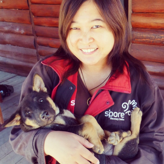 Usaha penculikan anjing lucu
