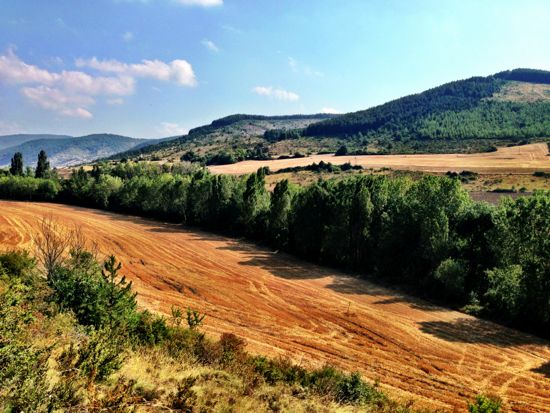 Somewhere between Larrasoana and Pamplona
