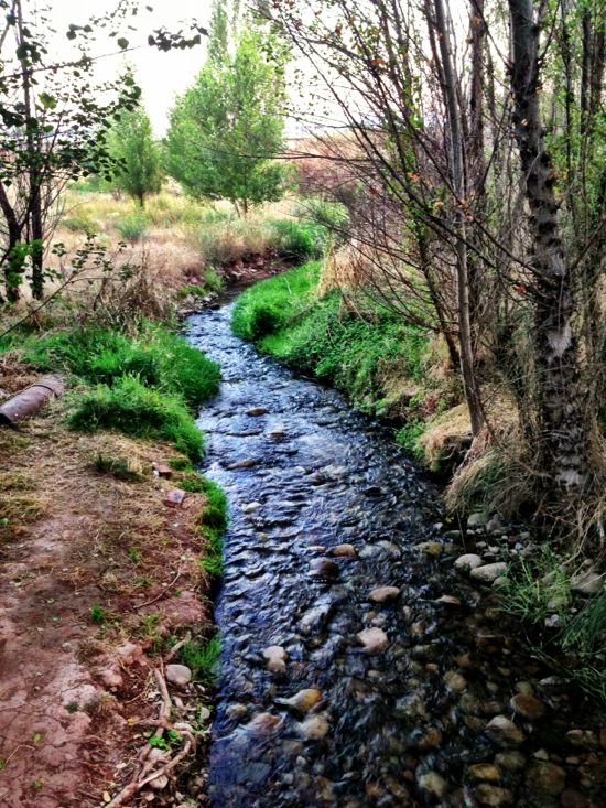 Camino between Ventosa and Santo Domingo