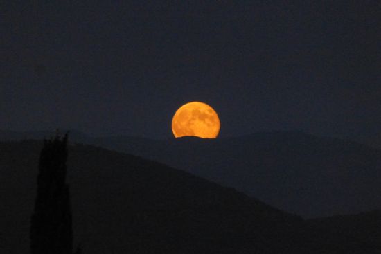 Amazing moonrise in Florence