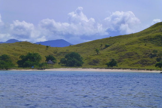 Taman Nasional Komodo