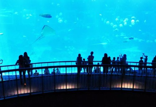 Viewing panel raksasa di SEA Aquarium
