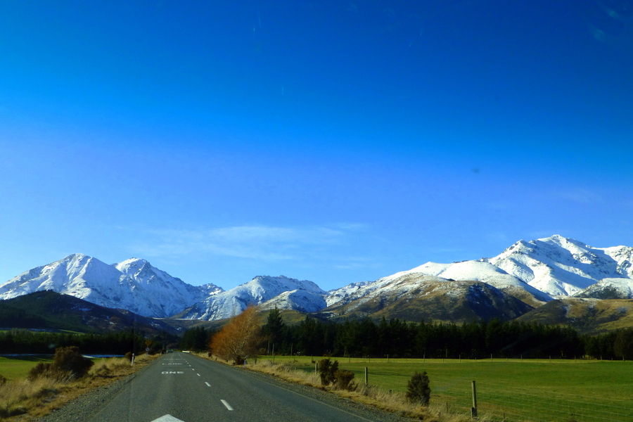 Pemandangan khas New Zealand