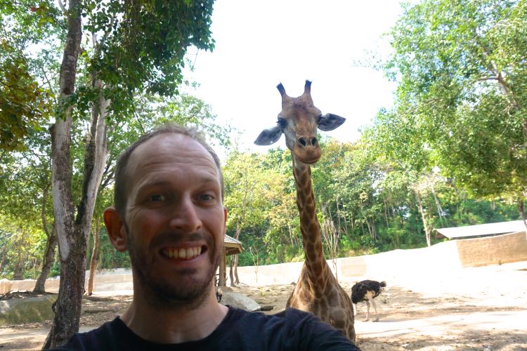 Selfie dulu sama jerapah