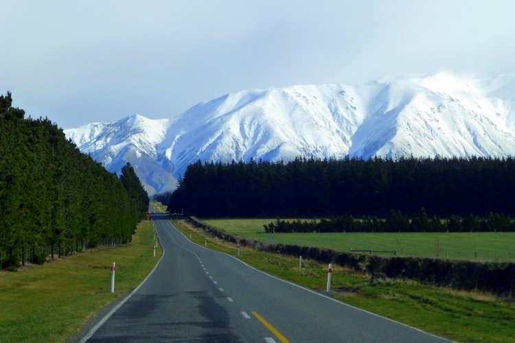 Warna-warni cantik pemandangan New Zealand