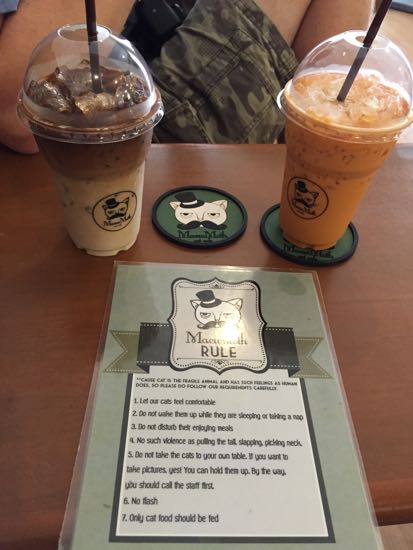Peraturan di Maewmoth Cafe