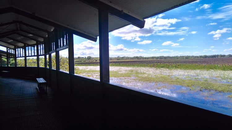 Bird hide di Mamukala Wetlands