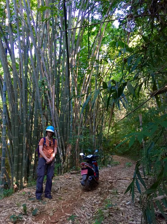 Terjebak di hutan