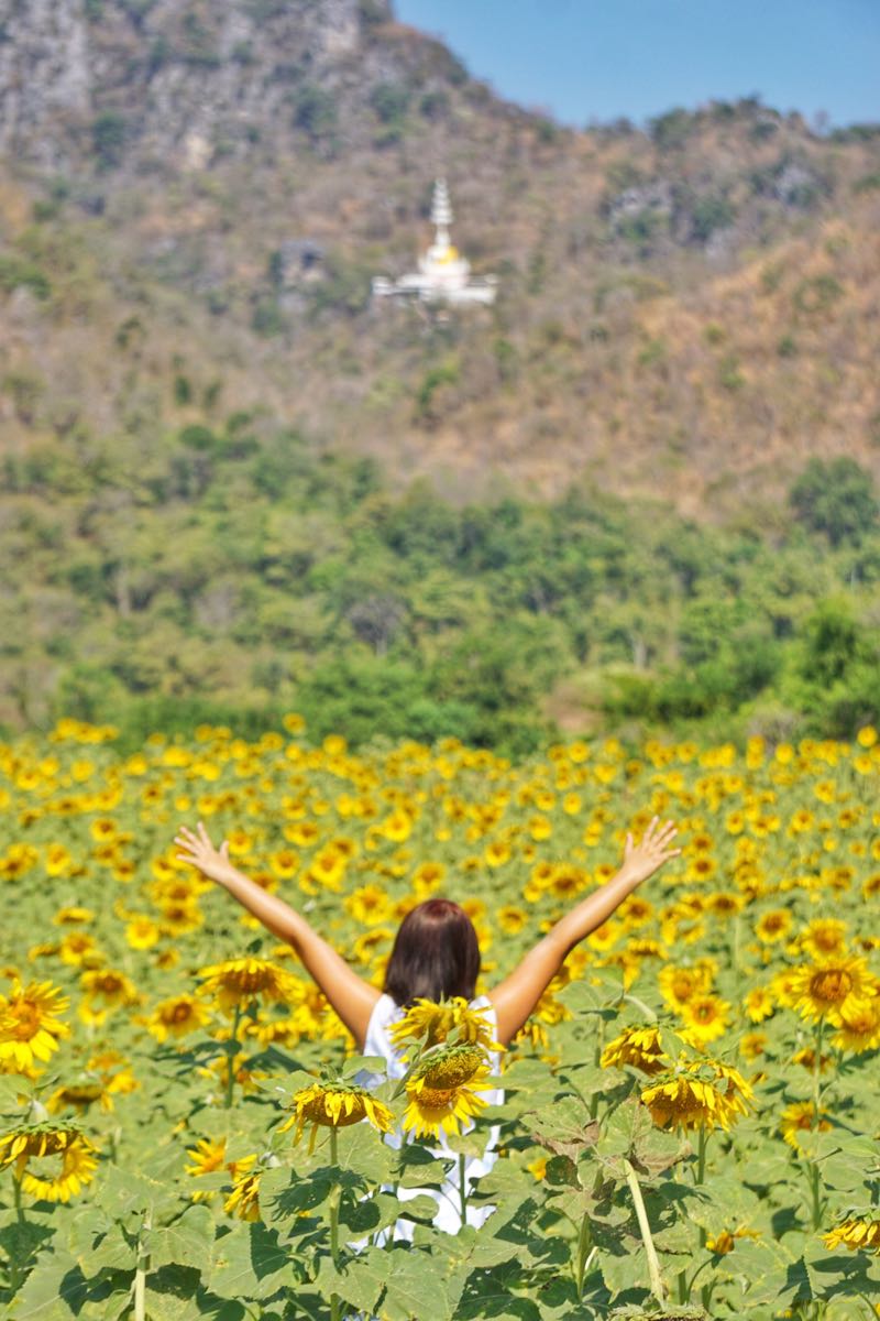 I feel free di kebun bunga matahari