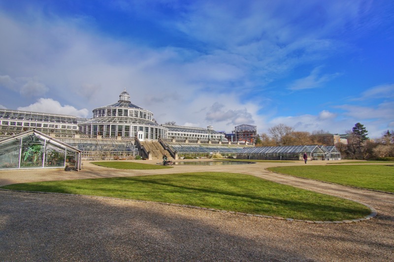 Palm house di Botanic Garden Copenhagen