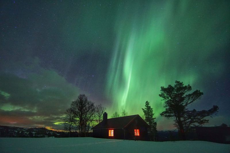 Aurora muncul di sekitar kabin airbnb di hutan Norwegia