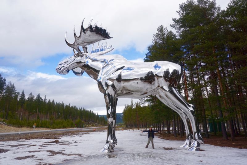 Ketemu Moose Perak Raksasa