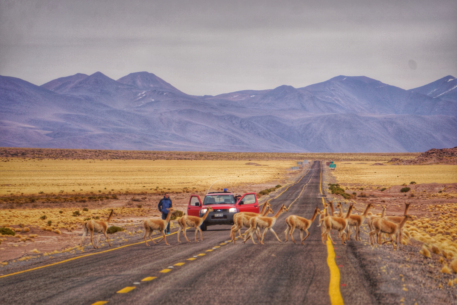 Road Trip Di San Pedro De Atacama