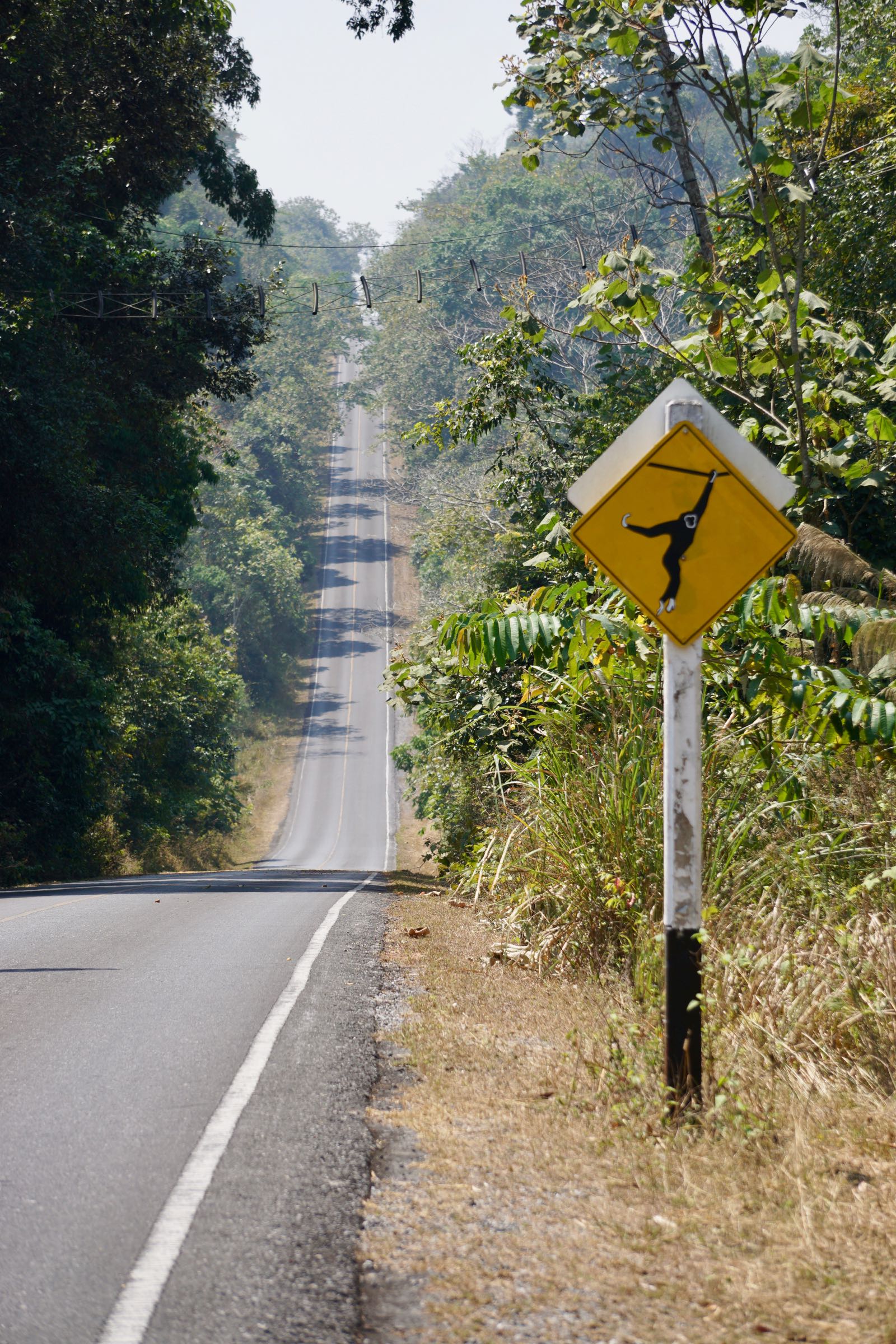 Jalanan Di Dalam Area Taman Nasional Khao Yai
