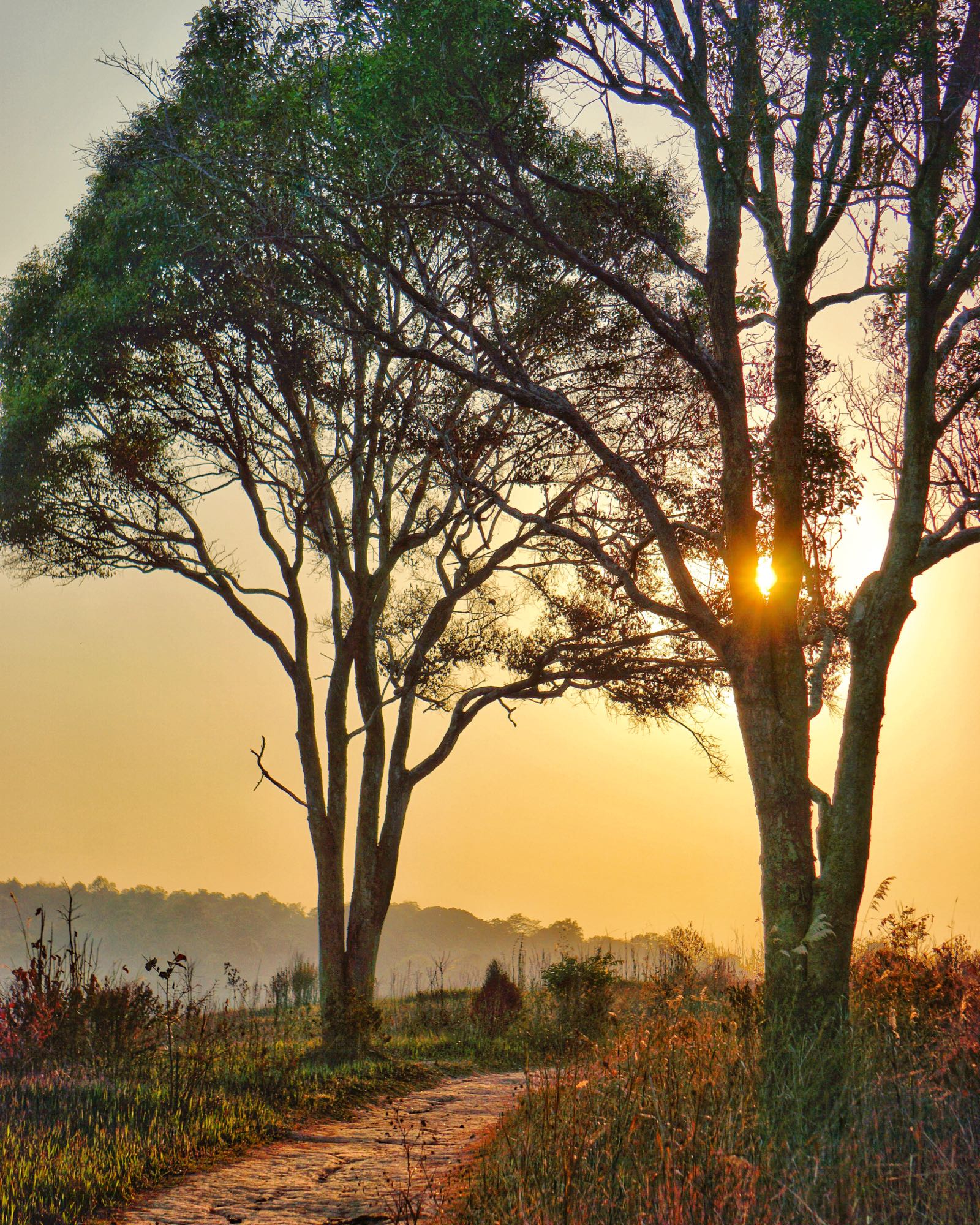 Sunset Di Khao Yai