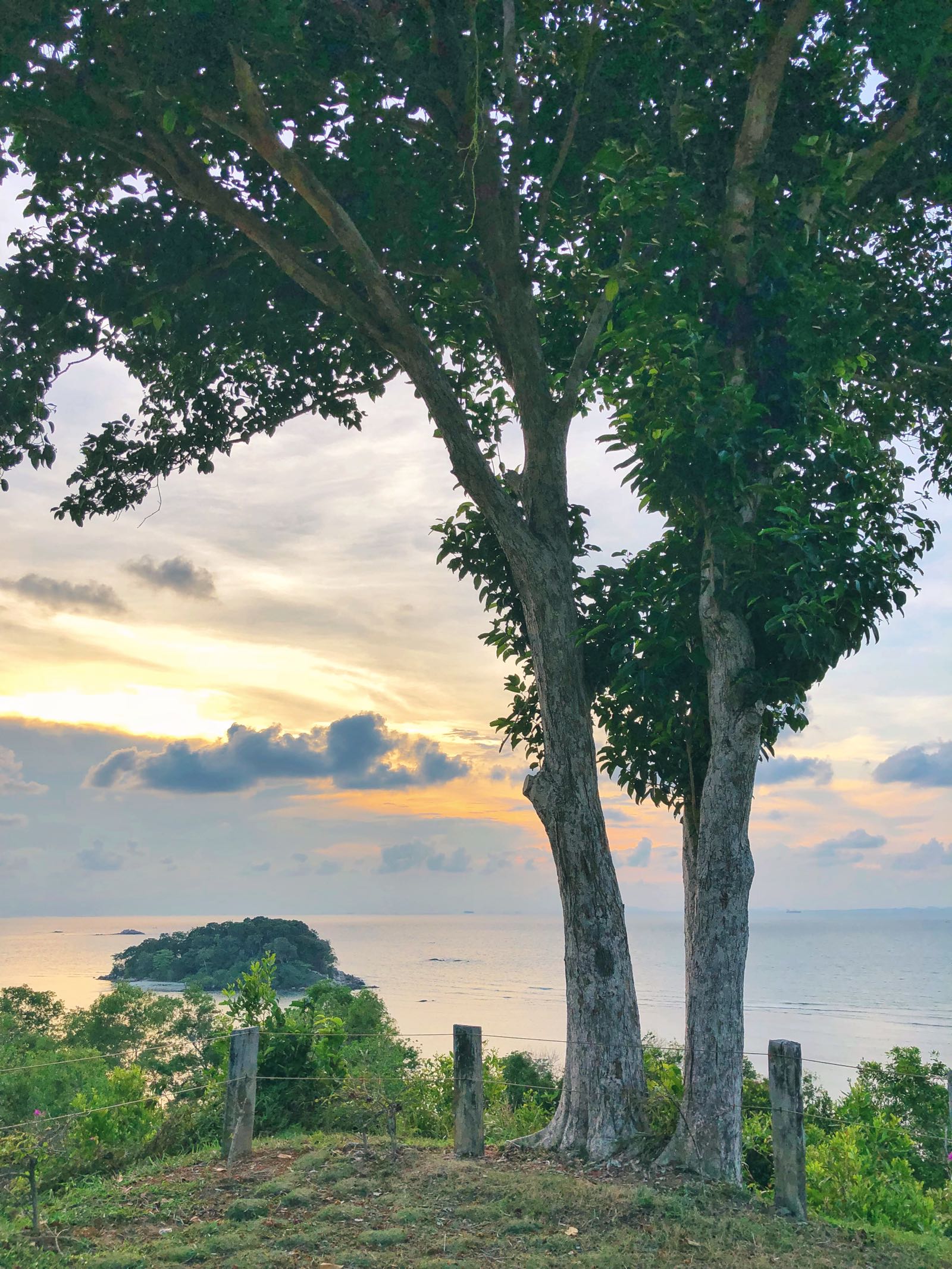 Sunset Spot Bintan Banyan Tree One Tree Hill