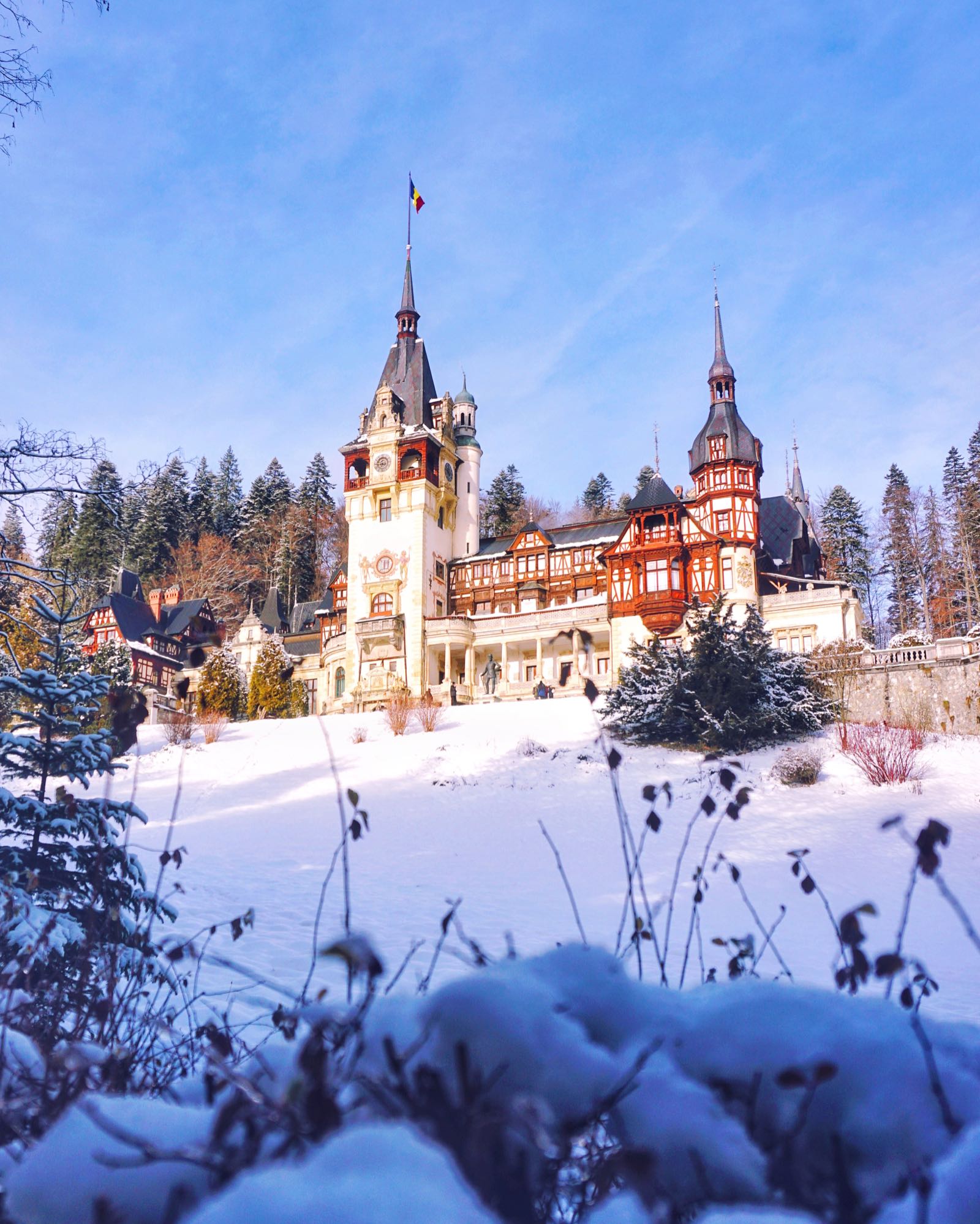 Castle Di Romania
