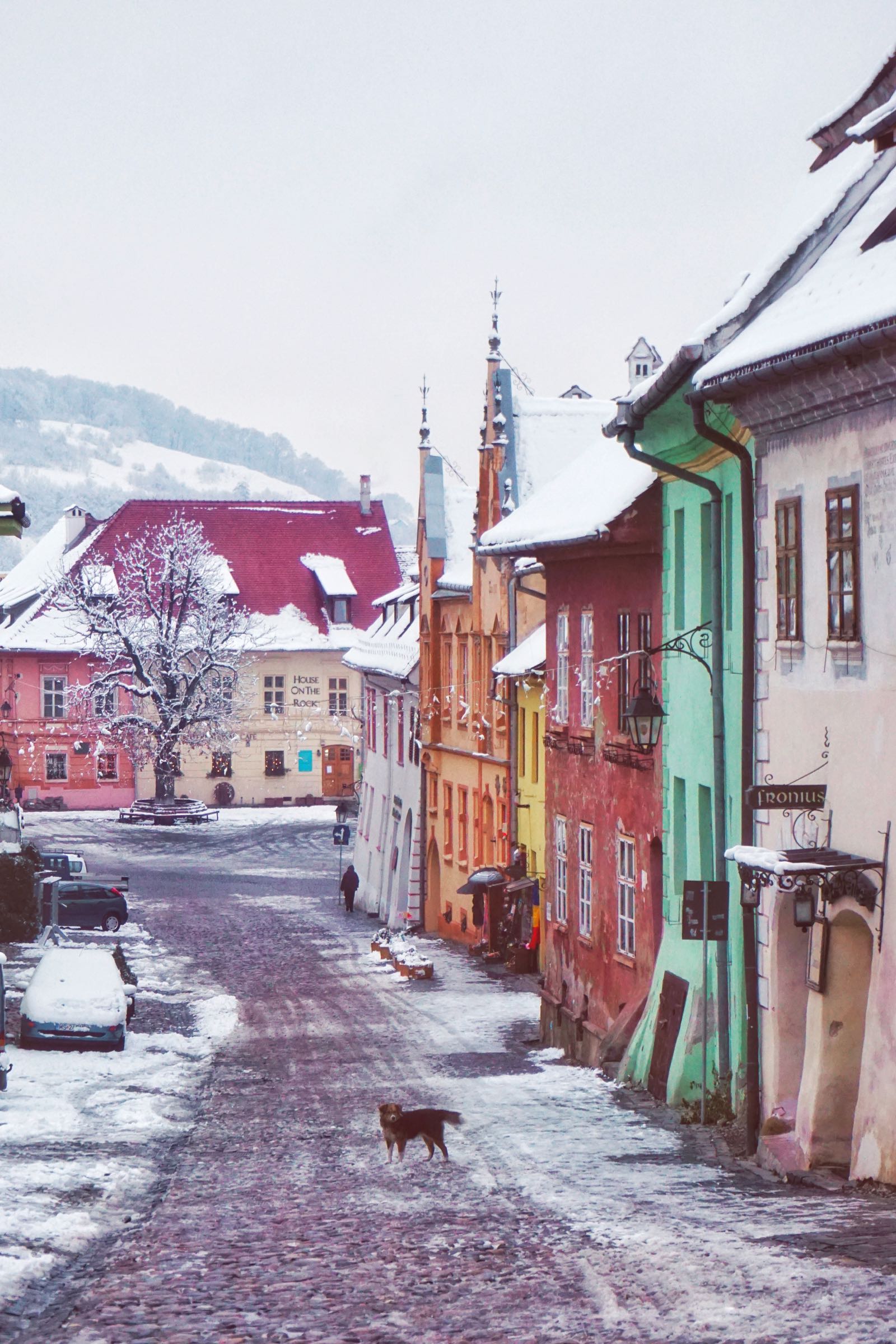 Icy Cobblestone Road In Balkans