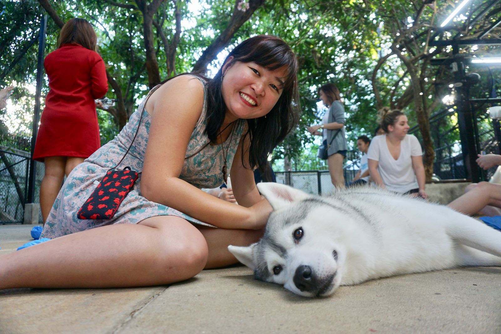 Main Husky Di TrueLove Bangkok