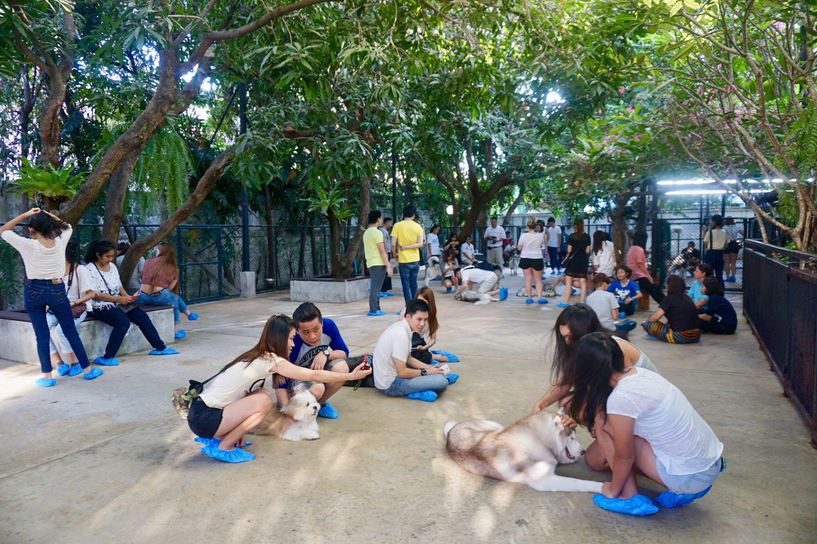 Playtime Di TrueLove @ Neverland Bangkok
