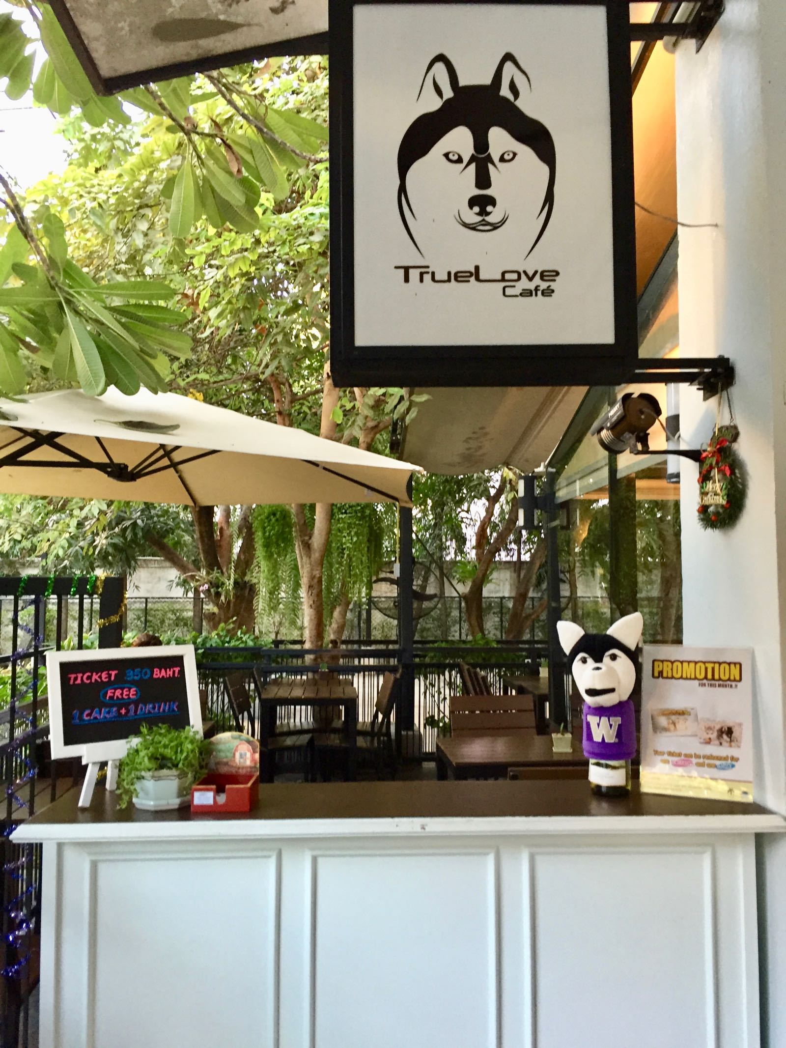 TrueLove @ Neverland Bangkok